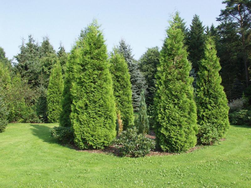 Leitzingen Soltau
